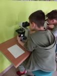 Uczniowie podczas pracy z mikroskopem