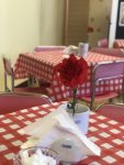 Zbiżenie na stolik z czerwono-białą ceratą w kratkę. Na stoliku znajduje się wazonik z goździkiem, serwetnik i cukiernica.