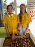 Akcja szkolnego wolontariatu: uczennice sprzedające cebulki żonkil